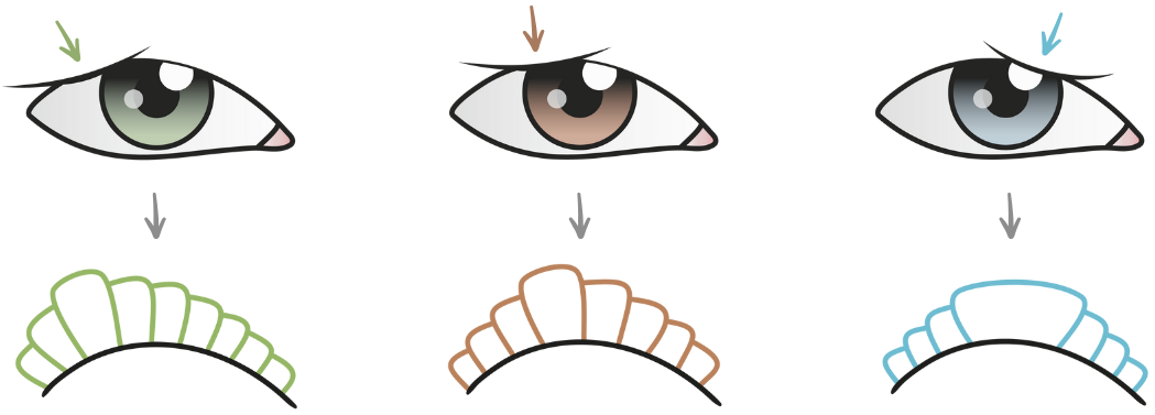 rodzaje skrętu rzęs do opadającej powieki